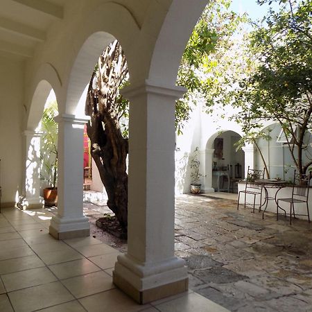 Hotel Casa San Miguel San Miguel de Allende Zewnętrze zdjęcie