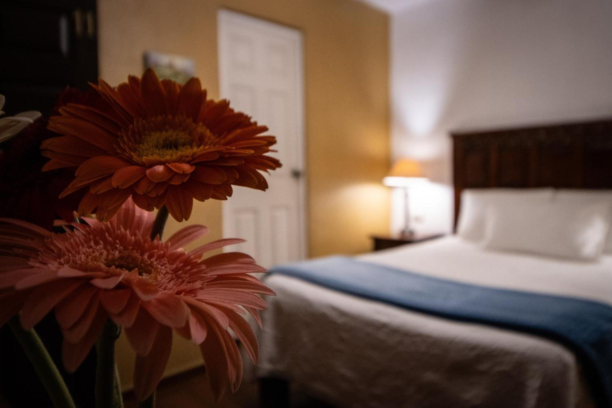 Hotel Casa San Miguel San Miguel de Allende Zewnętrze zdjęcie