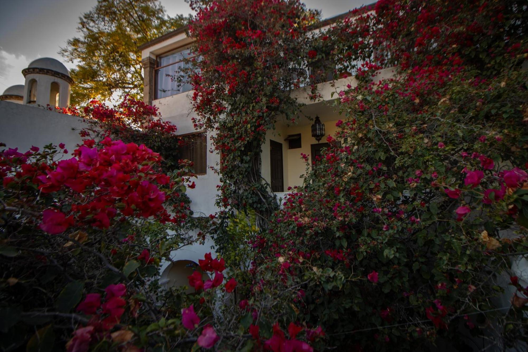 Hotel Casa San Miguel San Miguel de Allende Zewnętrze zdjęcie
