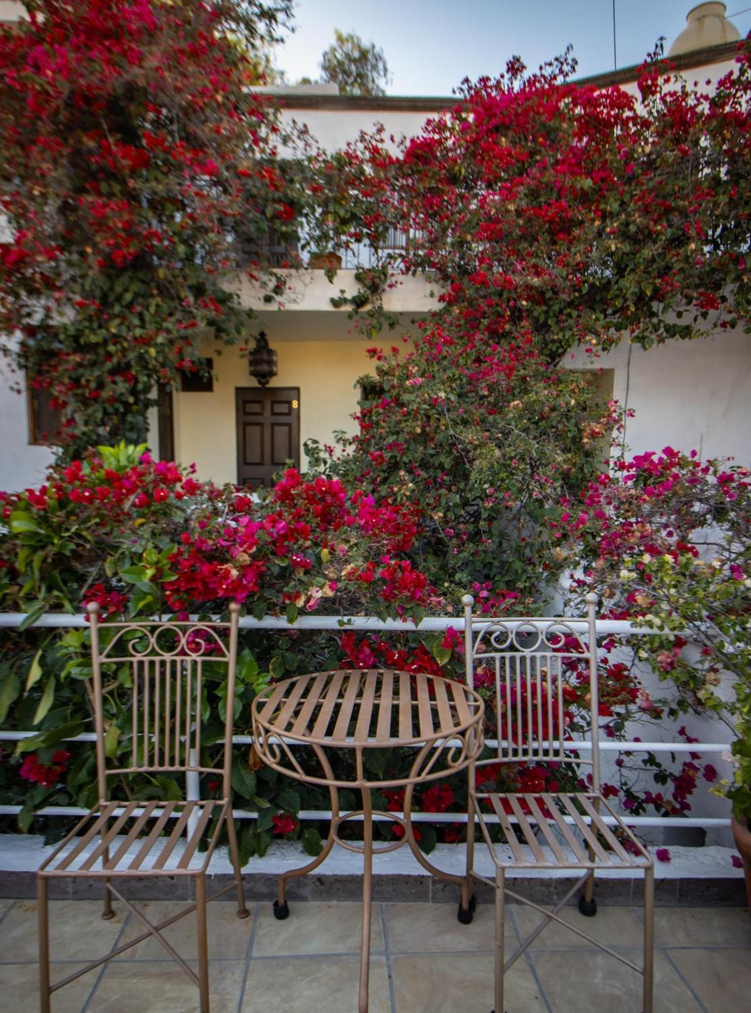 Hotel Casa San Miguel San Miguel de Allende Zewnętrze zdjęcie
