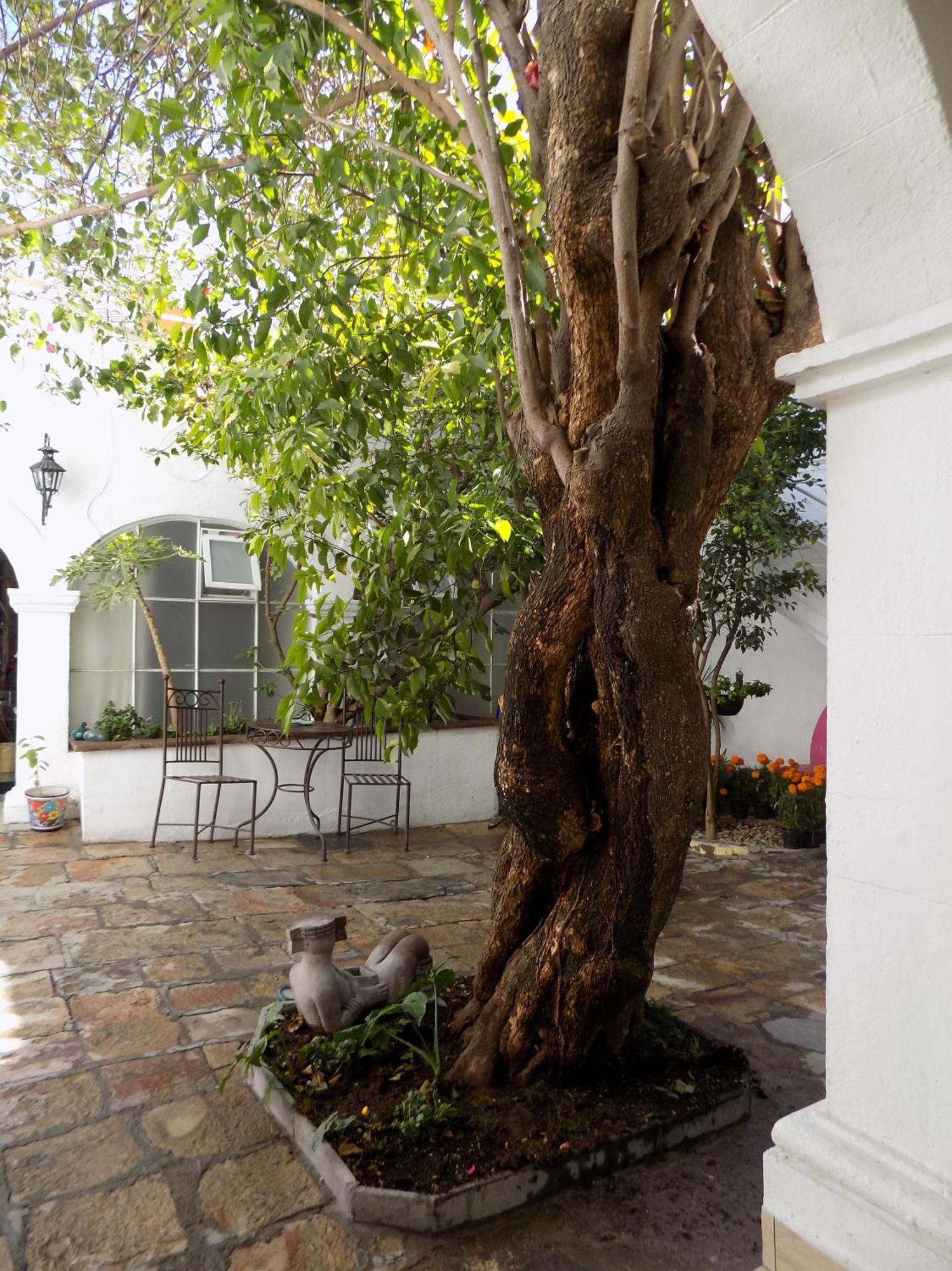 Hotel Casa San Miguel San Miguel de Allende Zewnętrze zdjęcie